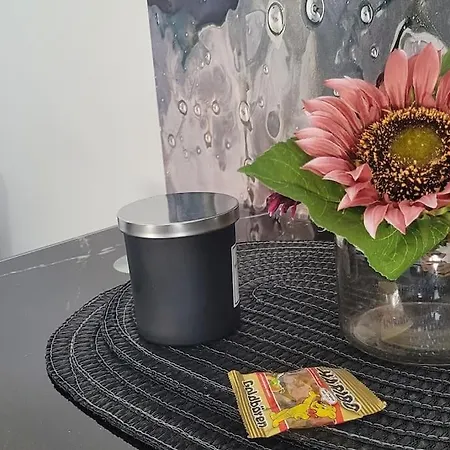 아파트 Berg Messe Og, 2 Zimmer, Homeoffice, W-lan 베르기슈글라트바흐