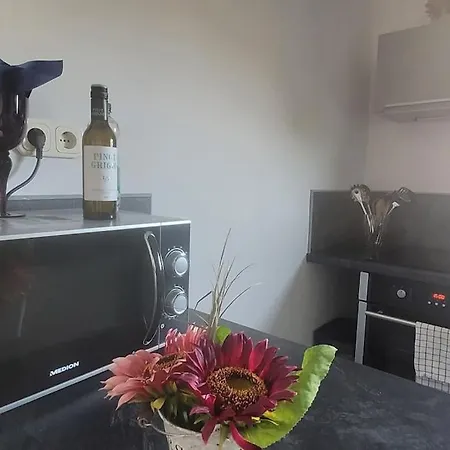 Berg Messe Og, 2 Zimmer, Homeoffice, W-lan 아파트