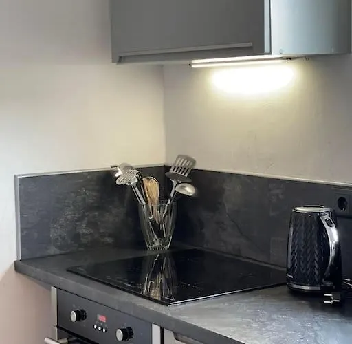 Berg Messe Og, 2 Zimmer, Homeoffice, W-lan *