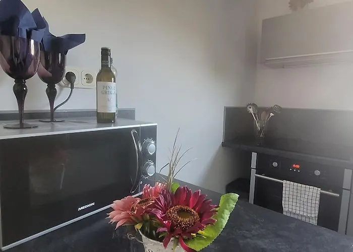 Berg Messe Og, 2 Zimmer, Homeoffice, W-lan Lejlighed